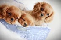 processed/ba6667e2-5941-4b95-9242-45fac66e6367/facility/b8a71129-27be-4309-9f8b-09605dd0a358