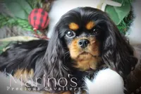 processed/ba6667e2-5941-4b95-9242-45fac66e6367/facility/e84c356a-0faa-4331-bc86-b9802f6a1ecb