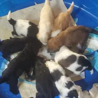 processed/ba6a0943-ea7a-4896-b157-d529ccb7cca0/facility/13d5c3e3-f600-48d5-8a02-730f7c7d62a5