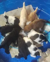 processed/ba6a0943-ea7a-4896-b157-d529ccb7cca0/facility/13d5c3e3-f600-48d5-8a02-730f7c7d62a5