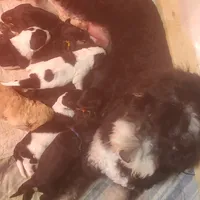 processed/ba6a0943-ea7a-4896-b157-d529ccb7cca0/facility/a118623b-9b33-4f2a-b554-e021abf5ab38