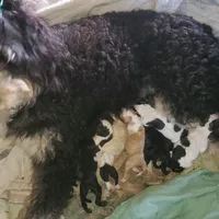 processed/ba6a0943-ea7a-4896-b157-d529ccb7cca0/facility/c86cecc1-8911-4f0a-952c-7308ff1ac712