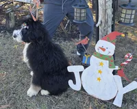 processed/ba6a0943-ea7a-4896-b157-d529ccb7cca0/listing/2c2ca942-0a39-4557-9401-51d6957670c1/11d5c3cc-ec01-4d85-a07e-5f0d46c4d7f5