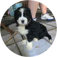 processed/ba6a0943-ea7a-4896-b157-d529ccb7cca0/listing/2c2ca942-0a39-4557-9401-51d6957670c1/3690b389-2f3a-42f4-90ef-fd8a03694d44