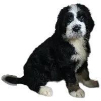 processed/ba6a0943-ea7a-4896-b157-d529ccb7cca0/listing/2c2ca942-0a39-4557-9401-51d6957670c1/3b7187fe-4946-4223-a504-2eeefe6681c3