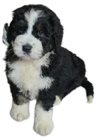 processed/ba6a0943-ea7a-4896-b157-d529ccb7cca0/listing/2c2ca942-0a39-4557-9401-51d6957670c1/4f2aa400-86b7-4404-bd80-cd2dec55b890