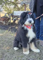 processed/ba6a0943-ea7a-4896-b157-d529ccb7cca0/listing/2c2ca942-0a39-4557-9401-51d6957670c1/af0d34df-941c-43fd-9439-5f0ecbcfc427