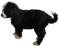 processed/ba6a0943-ea7a-4896-b157-d529ccb7cca0/listing/2c2ca942-0a39-4557-9401-51d6957670c1/bd24433e-0e5d-4655-934c-b0990d159952