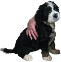 processed/ba6a0943-ea7a-4896-b157-d529ccb7cca0/listing/2c2ca942-0a39-4557-9401-51d6957670c1/eccae55d-5580-4329-b8c8-885f6796a1ca