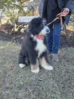 processed/ba6a0943-ea7a-4896-b157-d529ccb7cca0/listing/2c2ca942-0a39-4557-9401-51d6957670c1/f4eb0295-99ae-4214-b5e5-b9181a4713a4