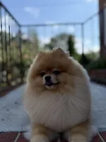 processed/ba6c798b-9bdf-4245-933b-1a5a200aa532/facility/34ef688b-1929-47b1-98ab-2eb491abed2f