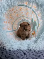 processed/ba6c798b-9bdf-4245-933b-1a5a200aa532/facility/3e0dfbf7-9e3a-4c85-961f-ffe79e25e3da