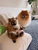 processed/ba6c798b-9bdf-4245-933b-1a5a200aa532/facility/80c007c2-8de4-4835-a81a-f59ba80c4266