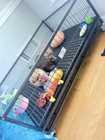 processed/ba6c798b-9bdf-4245-933b-1a5a200aa532/facility/b9110993-01f1-482e-8d35-283cb4ec817e