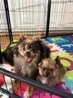 processed/ba6c798b-9bdf-4245-933b-1a5a200aa532/facility/bdcd458d-2b96-4fa1-89b6-6ea18e2b178a