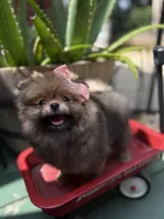 processed/ba6c798b-9bdf-4245-933b-1a5a200aa532/facility/e03f40e4-e539-4f44-b000-0780d5a286fa