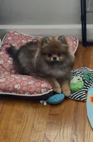 processed/ba6c798b-9bdf-4245-933b-1a5a200aa532/facility/f90f3b37-d202-49ca-94b7-d71c2fe1e222