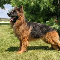 processed/ba6d88e8-a2e3-45a4-a230-f708c3015b3d/facility/27d3f2ae-bb56-4f71-b35f-921c27635919