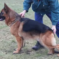 processed/ba6d88e8-a2e3-45a4-a230-f708c3015b3d/facility/58426379-b6e7-447c-9c42-befe1b4ef247