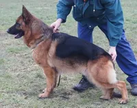 processed/ba6d88e8-a2e3-45a4-a230-f708c3015b3d/facility/58426379-b6e7-447c-9c42-befe1b4ef247