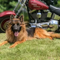 processed/ba6d88e8-a2e3-45a4-a230-f708c3015b3d/facility/9a71d0e7-f1c9-4f16-b14a-6d66c0fb2ea9