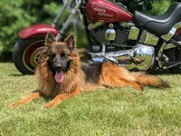 processed/ba6d88e8-a2e3-45a4-a230-f708c3015b3d/facility/9a71d0e7-f1c9-4f16-b14a-6d66c0fb2ea9