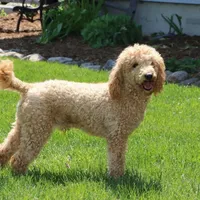 processed/ba6d88e8-a2e3-45a4-a230-f708c3015b3d/facility/a2a21ed6-94a2-4401-b287-81b795c5a462