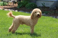 processed/ba6d88e8-a2e3-45a4-a230-f708c3015b3d/facility/a2a21ed6-94a2-4401-b287-81b795c5a462