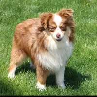 processed/ba6d88e8-a2e3-45a4-a230-f708c3015b3d/facility/a40988c0-ea5a-41b7-a8ae-5bded9bab23b