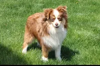 processed/ba6d88e8-a2e3-45a4-a230-f708c3015b3d/facility/a40988c0-ea5a-41b7-a8ae-5bded9bab23b