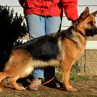 processed/ba6d88e8-a2e3-45a4-a230-f708c3015b3d/facility/ab0d18c0-d3e5-43ea-8f77-1468efa8bb28