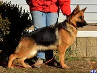 processed/ba6d88e8-a2e3-45a4-a230-f708c3015b3d/facility/ab0d18c0-d3e5-43ea-8f77-1468efa8bb28