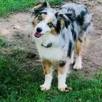 processed/ba6d88e8-a2e3-45a4-a230-f708c3015b3d/facility/c5bd4cf9-079f-4623-8c89-f4f3ecfc84fe