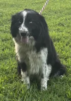 processed/ba746646-336f-46b3-b753-50dcc2e73265/listing/66db125d-d42c-434c-afb3-ae6d2a17e1db/9a68c43c-72b7-408b-a6dc-bb060ce47026