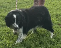 processed/ba746646-336f-46b3-b753-50dcc2e73265/listing/66db125d-d42c-434c-afb3-ae6d2a17e1db/bc9b4efb-3811-41e7-b67a-d231d8468a5f