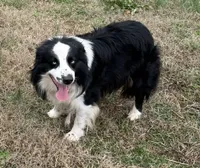 processed/ba746646-336f-46b3-b753-50dcc2e73265/listing/8c2e0854-77ce-47df-adb2-5b18ae0e1e0f/02249f56-66da-4a06-959d-19d8c813dd83