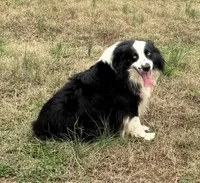 processed/ba746646-336f-46b3-b753-50dcc2e73265/listing/8c2e0854-77ce-47df-adb2-5b18ae0e1e0f/f762d8de-f893-42bf-b763-8f74842ac881