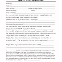 Blue, a male Beagle for sale in East Jordan, MI – Photo 5 of 5