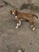 processed/ba864033-1d3c-46df-a7f8-bfa1ec4afa79/listing/8e912108-56fa-4dfb-98cc-a5109169dfe4/28dbf27c-8294-4970-8696-91def4a35871