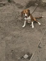 processed/ba864033-1d3c-46df-a7f8-bfa1ec4afa79/listing/8e912108-56fa-4dfb-98cc-a5109169dfe4/43fc83bf-39f9-4609-8640-deedb6001084