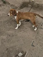 processed/ba864033-1d3c-46df-a7f8-bfa1ec4afa79/listing/8e912108-56fa-4dfb-98cc-a5109169dfe4/5e3b495e-10fe-46a5-ad27-a52c9f36d557