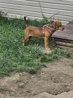 processed/ba864033-1d3c-46df-a7f8-bfa1ec4afa79/listing/f09e37f3-9297-4d2b-b6b8-afd8f1dffc47/c16b5653-c820-49da-9ae3-a4a5fefc502d