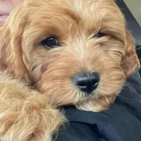 processed/ba8970e8-71b1-45b6-9684-99ef38c36a2a/facility/07f17f4b-6556-4817-a6af-feb0a6a515df