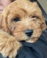 processed/ba8970e8-71b1-45b6-9684-99ef38c36a2a/facility/07f17f4b-6556-4817-a6af-feb0a6a515df