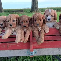 processed/ba8970e8-71b1-45b6-9684-99ef38c36a2a/facility/76c917b0-368c-4e8d-8a6a-49a6a9dfba43