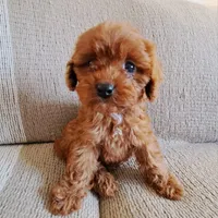 processed/ba8970e8-71b1-45b6-9684-99ef38c36a2a/facility/9537c2f4-a3e8-44d3-b688-36dfc4f945bb