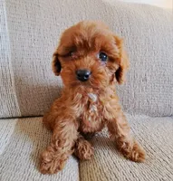 processed/ba8970e8-71b1-45b6-9684-99ef38c36a2a/facility/9537c2f4-a3e8-44d3-b688-36dfc4f945bb