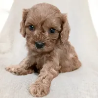 processed/ba8970e8-71b1-45b6-9684-99ef38c36a2a/facility/c1349600-47e2-46d6-9bc4-384d85cdd9f5