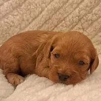 processed/ba8970e8-71b1-45b6-9684-99ef38c36a2a/facility/e60976c6-5099-4af4-beef-3666f10549e0