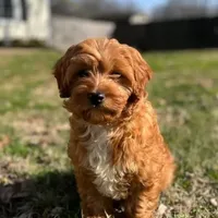 processed/ba8970e8-71b1-45b6-9684-99ef38c36a2a/facility/f7eadbb2-c808-4e18-9551-d187e080cb0f